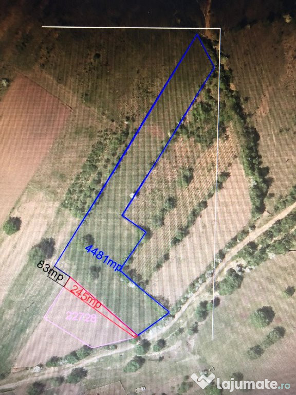 Teren comuna Berca, sat Plescoi 4809mp