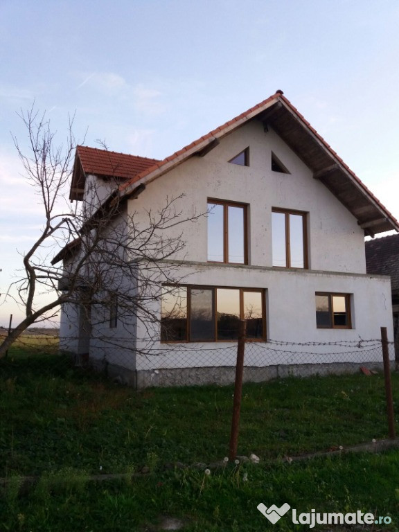 Casa in sanovita, timis