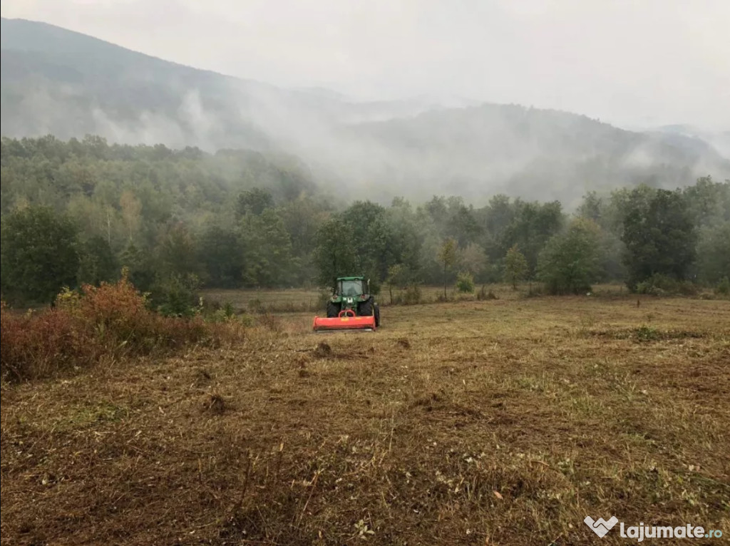 Defrisare, curatare terenuri agricole