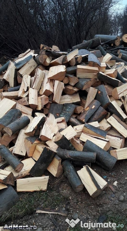 Lemne de fag crăpate pentru foc