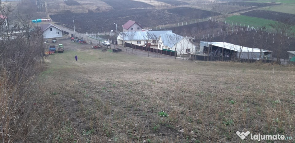 Teren intravilan 4182mp Sarca