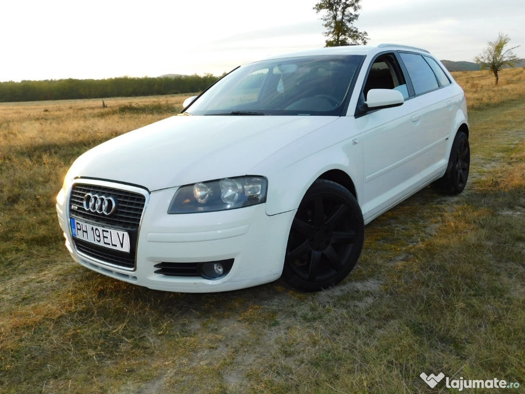 Audi a3 8p accept si variante