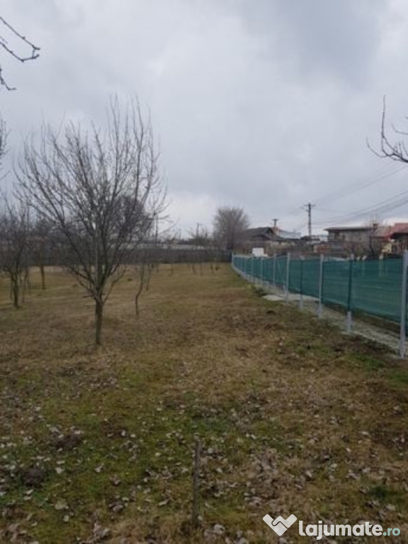 Loc pentru casa in Tintea, PH 2000mp