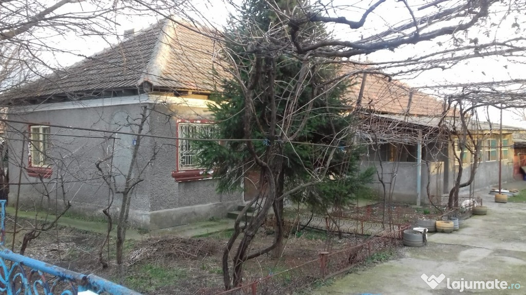 Casa Targusor - zona centrală