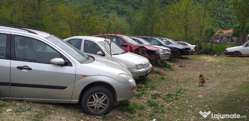 Dezmebrari auto