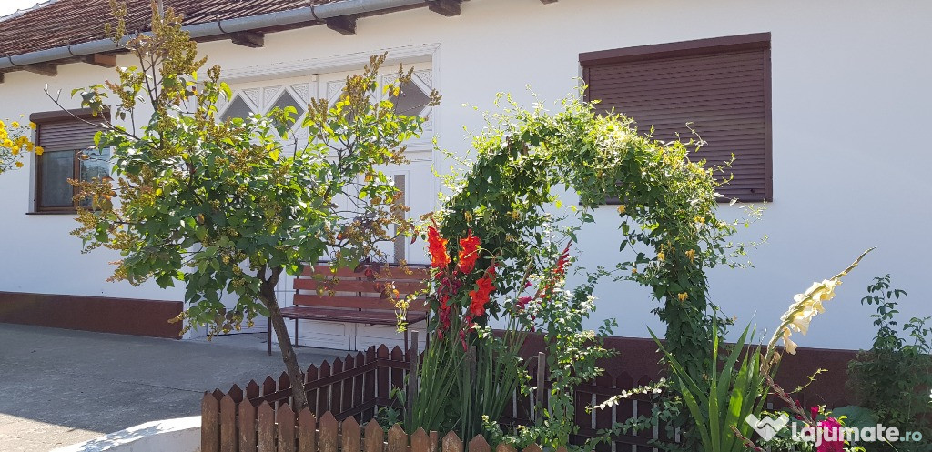 Casa cu gradina jud. ARAD