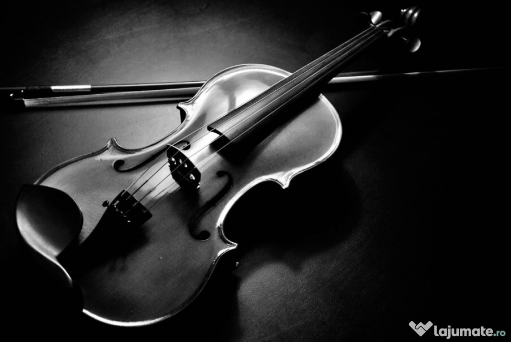 Lectii de vioara/Teorie muzicala