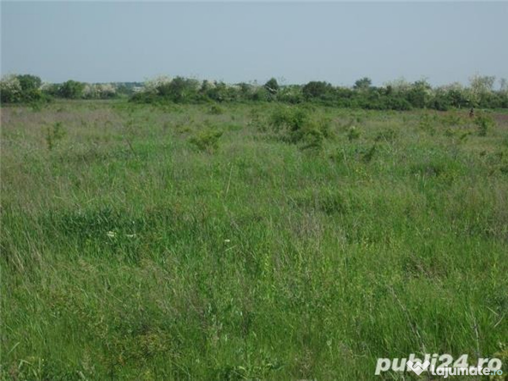 Teren Extra-Vlian 10.000Mp2 Tantava