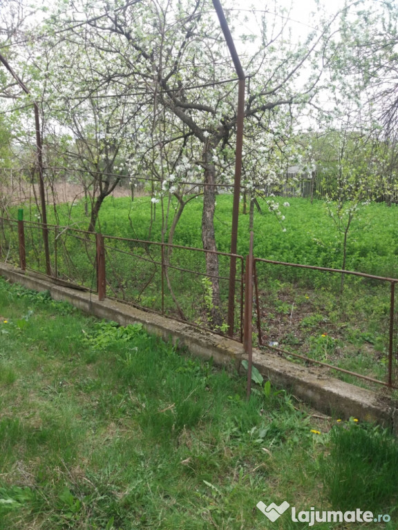Casa la tara Comosteni, Dolj
