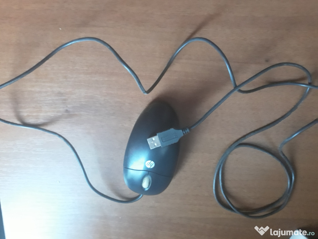 Mouse