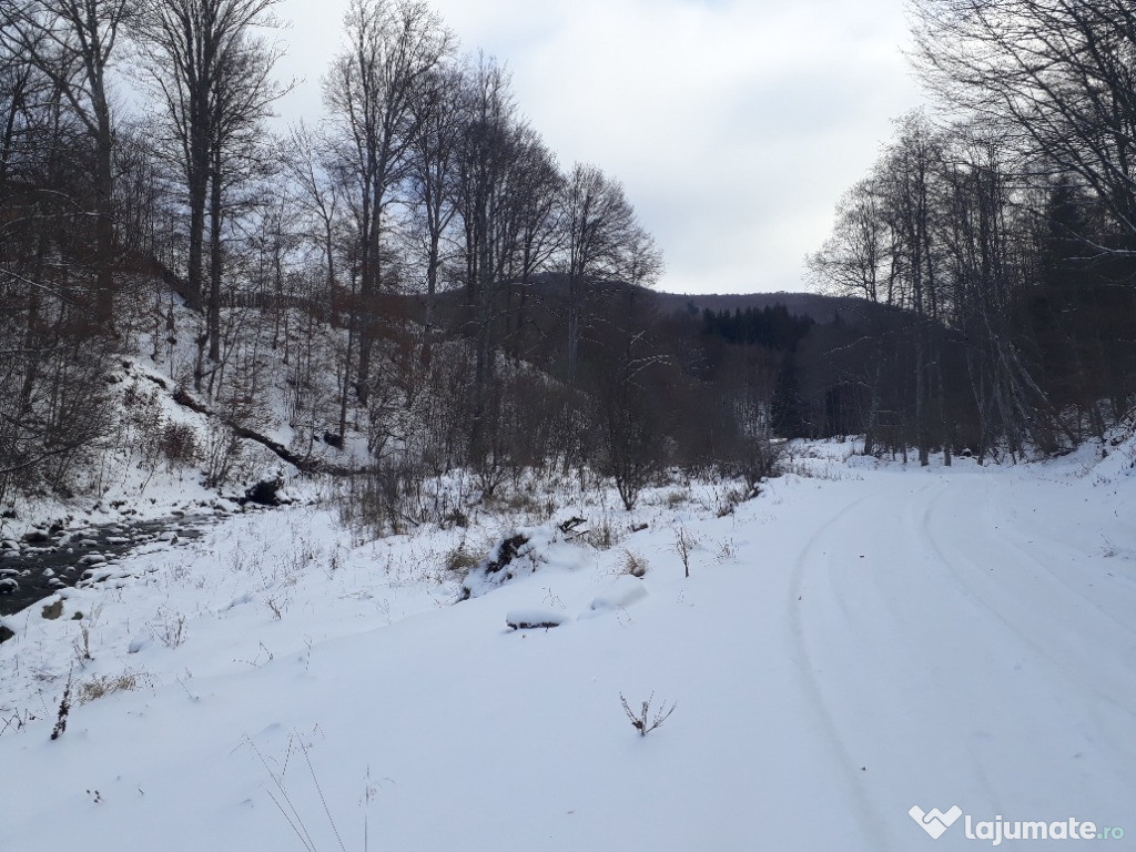 Teren Poiana Dintesei, Valea Doftanei 2400mp