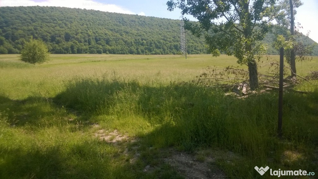 Ferma cu teren intre Cuciulata Fantana
