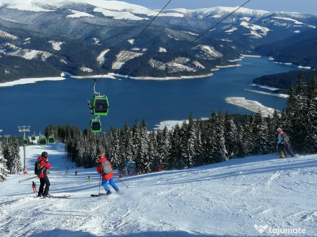 Teren domeniul schiabil Transalpina 1200 mp