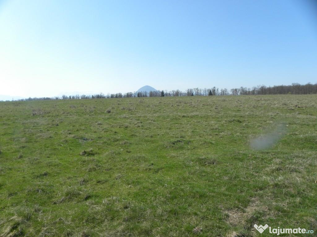 Teren intravilan crizbav - valea mare 10.000 mp