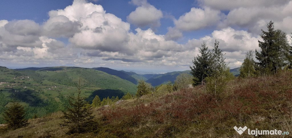 Teren pentru cabană, Măguri  7000 mp