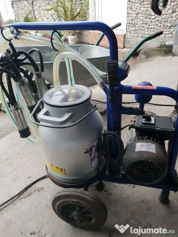 Aparat de muls vaci.