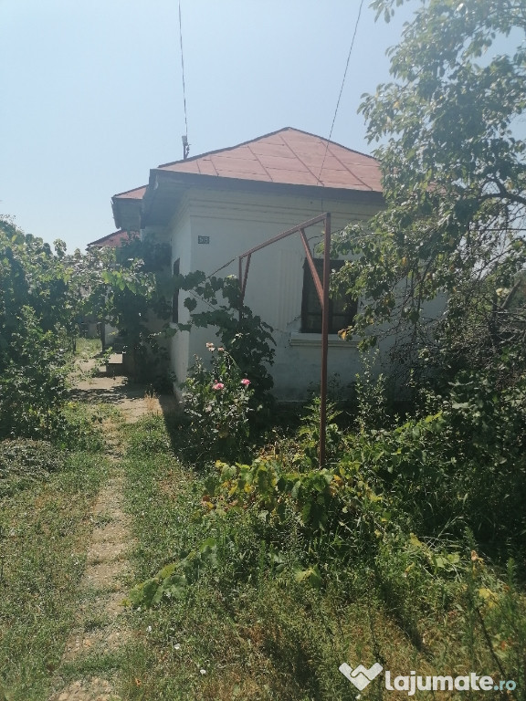 Casă cu 3 camere