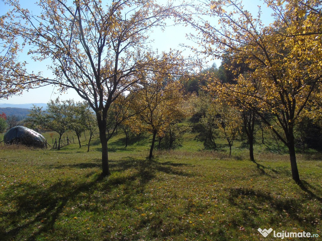 Teren pentru o gospodărie completă - 13040 mp