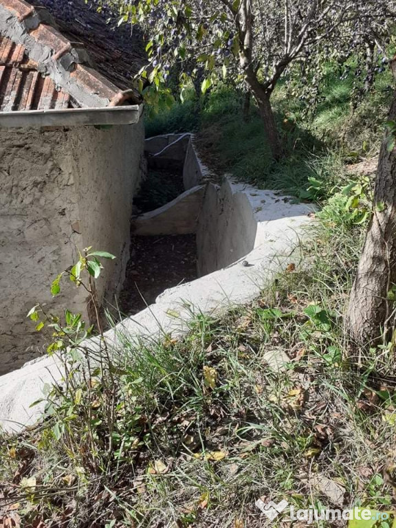 Casă comuna Cozieni sat Trestia județul Buzău .