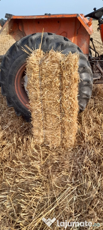 Balori de paie griu cantitate mare păstrate bine acoperite.