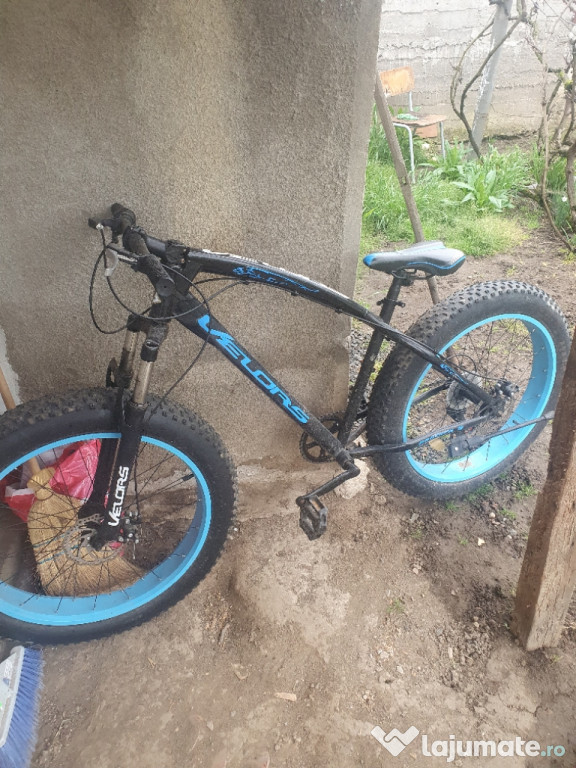 Fat bike