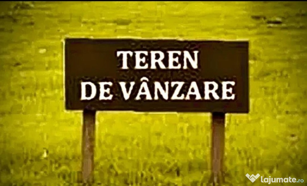 Teren