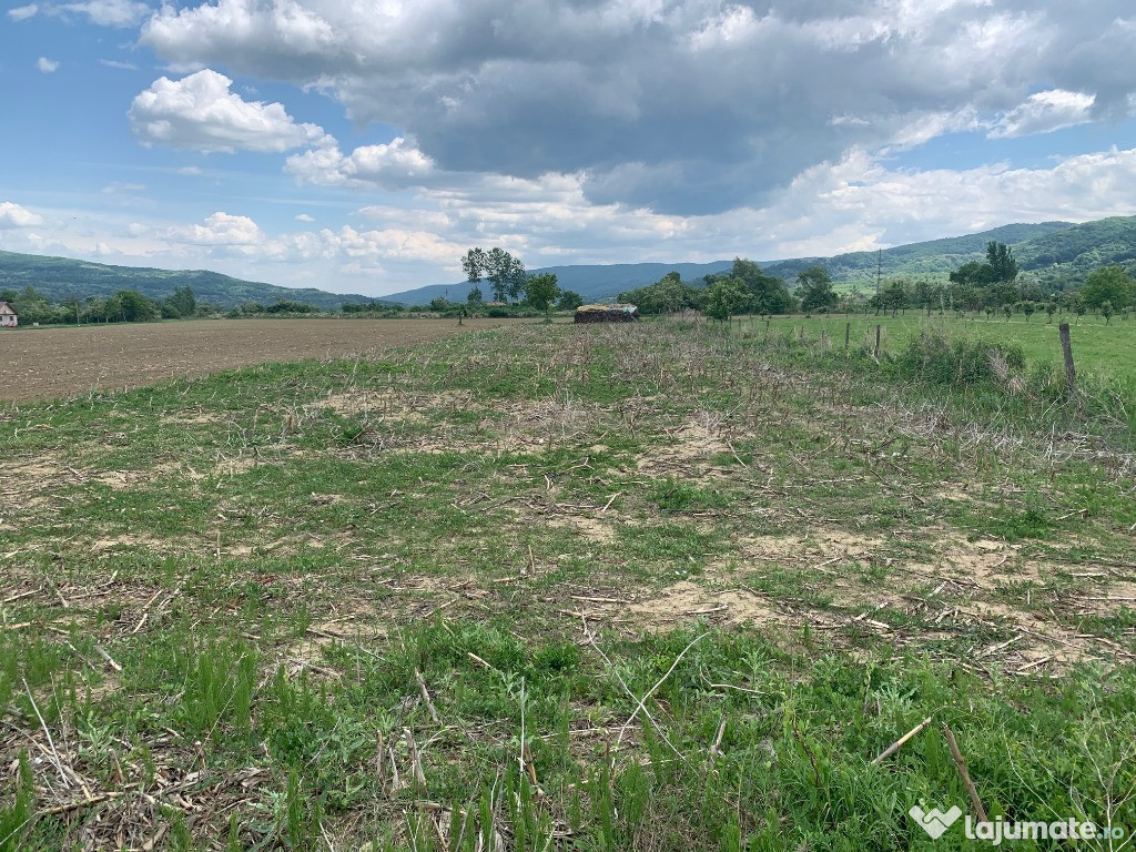 Teren intravilan Tronari (Buzau) 2200mp - la strada