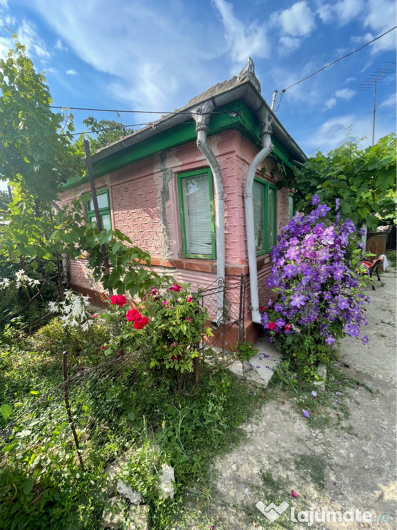 Casa și teren 2000mp Gugesti Vrancea