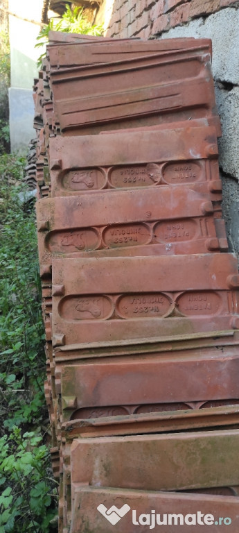 Tigla cu unu si 2 ciocuri