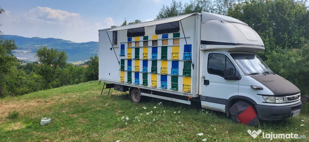Stupina / pavilion apicol omologat rar