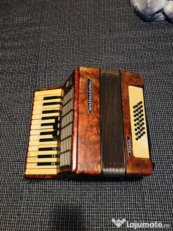 Acordeon weltmeister stella