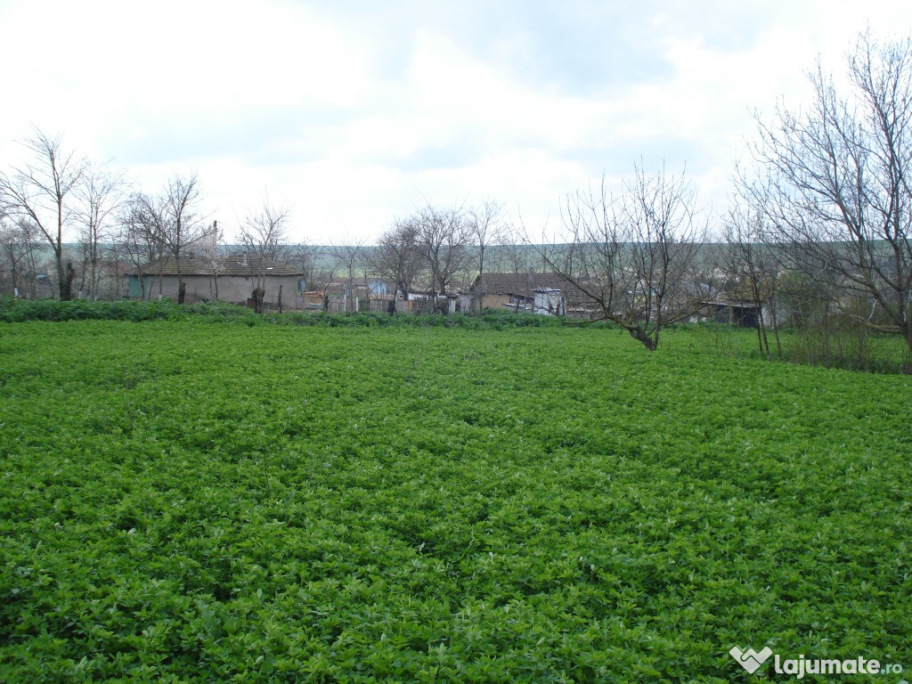 Gradina de 6200 mp cu casa din piatra plus teren intravilan