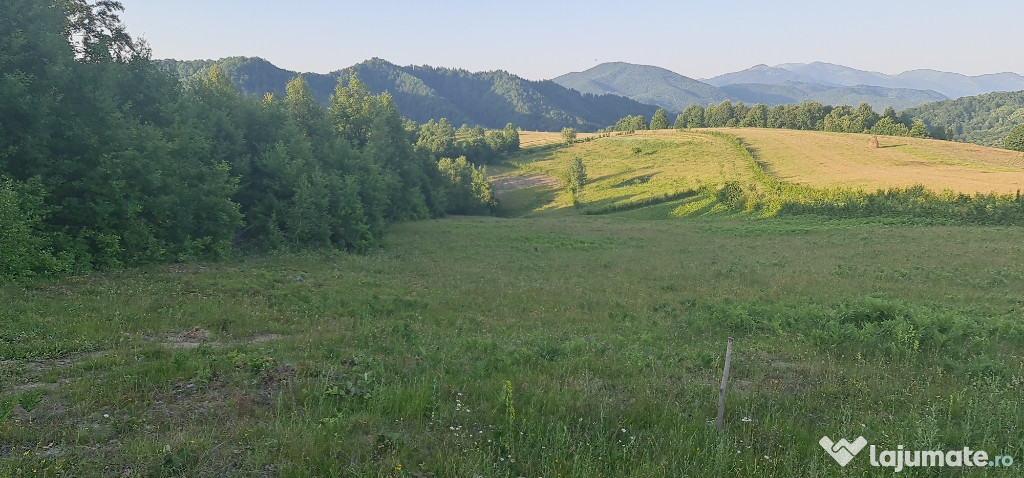 Teren bârsana zona turistica 9500mp