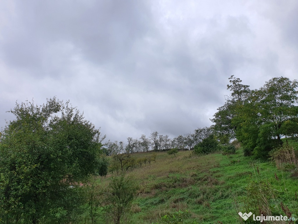 Teren pretabil pentru constructie casa, situat in Cristur