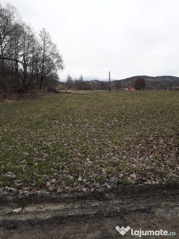 Terenuri in Berinta la 17km.de Baia Mare, 3800mp