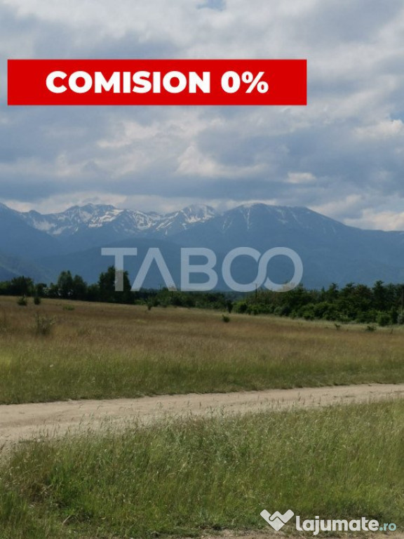 10 ha teren pretabil investitii vedere montana Valea Avrigul