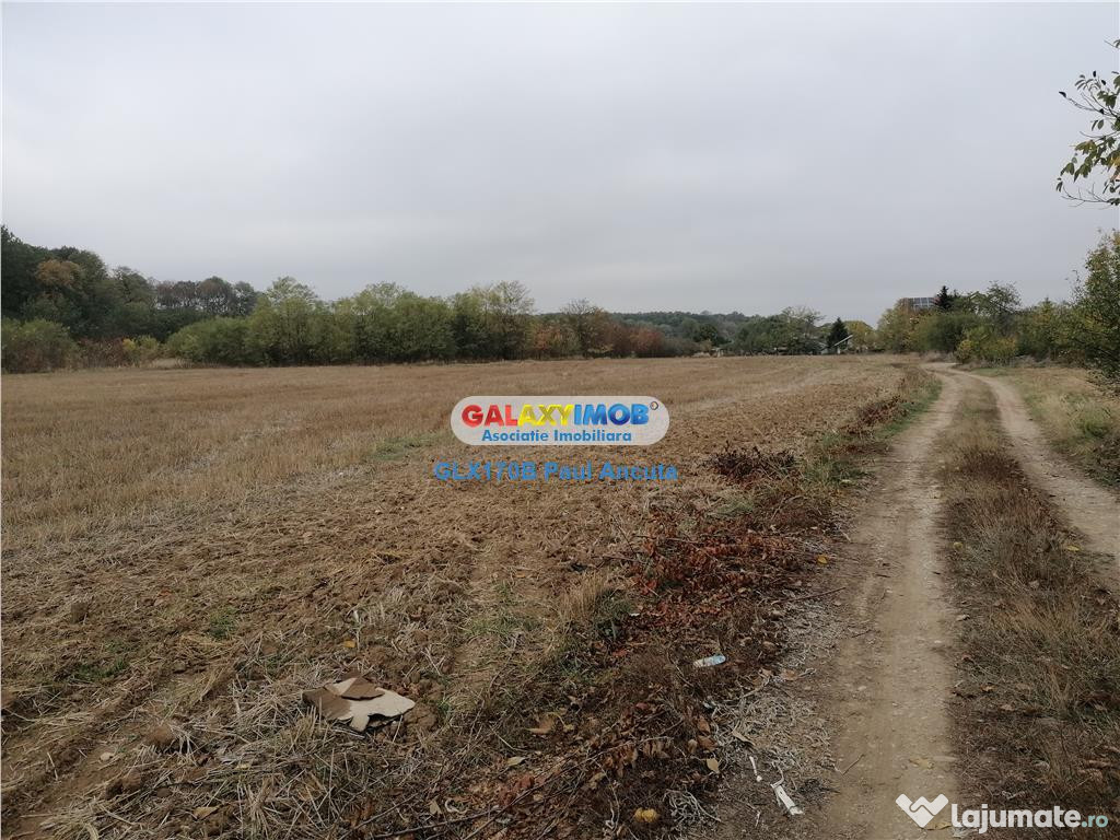 3 Loturi casa Ciolpani str Stadionului cu vedere la Padure