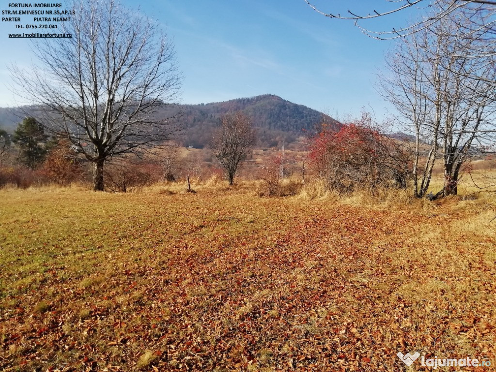 Teren intravilan Bistrita