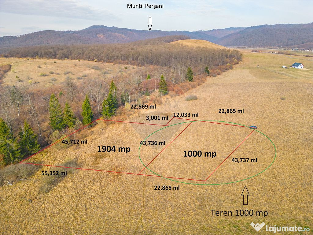 Teren Crizbav/1000 mp / PUZ/Langa Padure