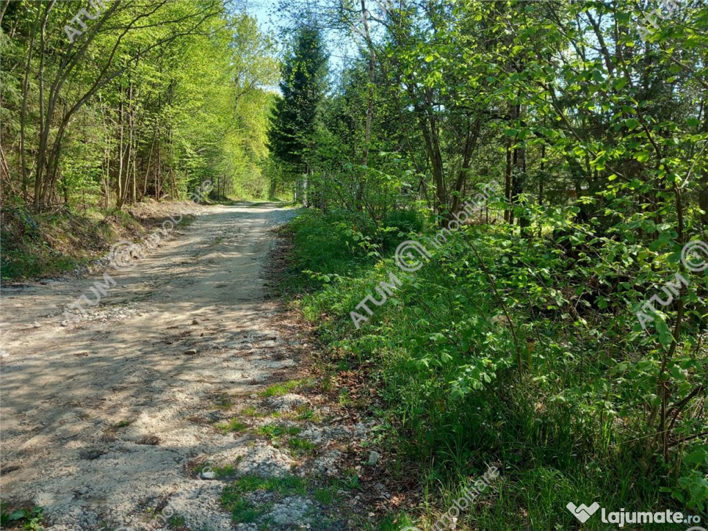 Teren intravilan 1300 mp de pe Valea Avrigului in zona Mlac