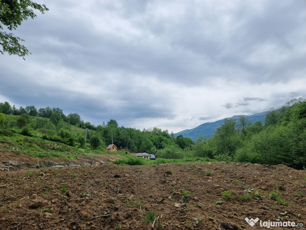 Teren 3264mp ideal casa, în Lupeni, cu vedere spre stațiunea Straja