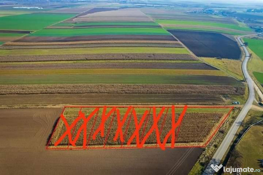 De vânzare teren intravilan la intrarea în Arcus