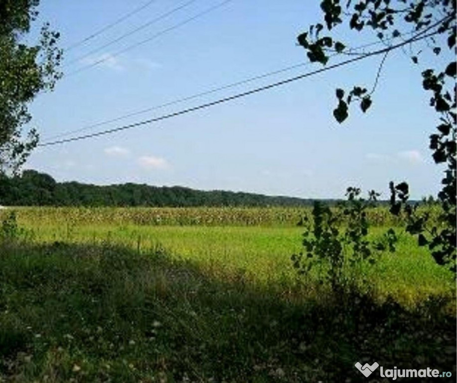 Bucuresti NORD teren aproape de lac si padure 10000mp