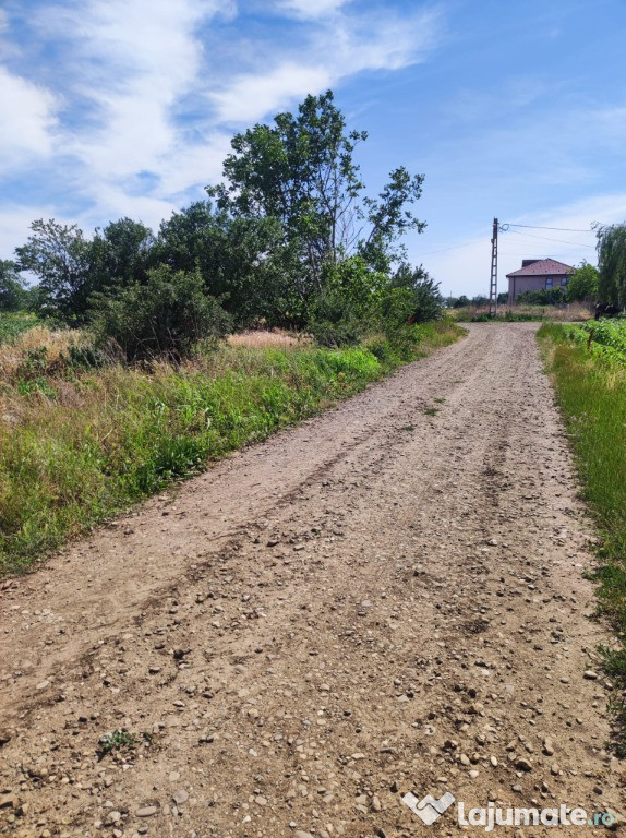 2400 mp teren intravilan-scuresti, vadu pasii, buzau