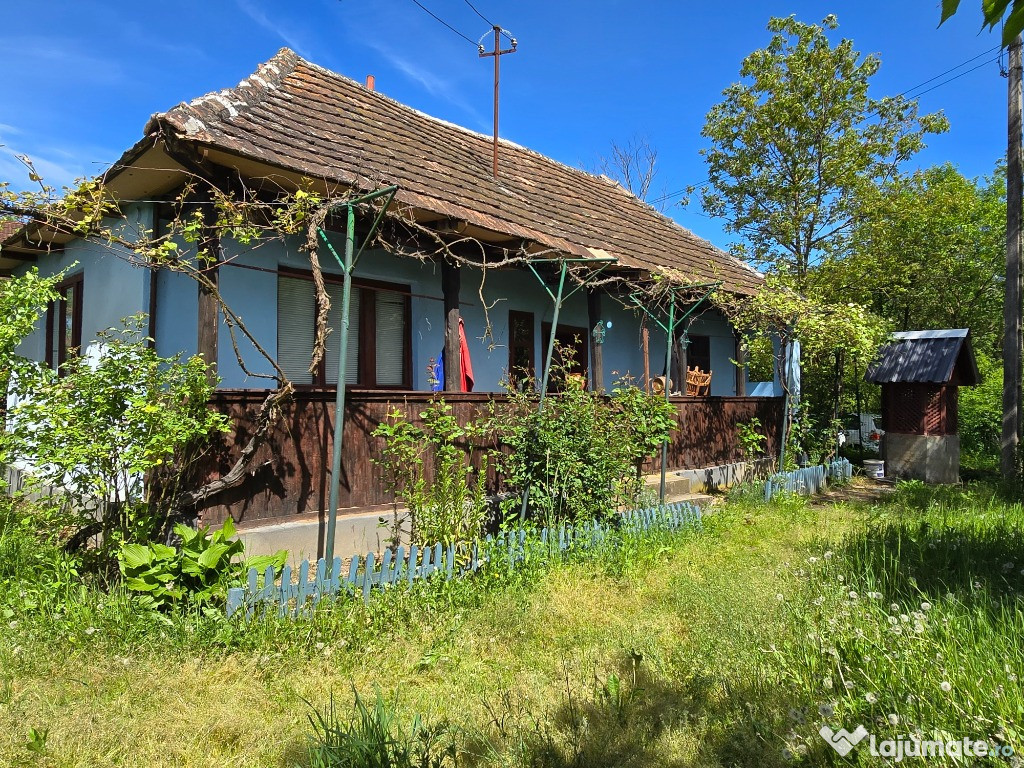 Casa traditionala Napradea Salaj