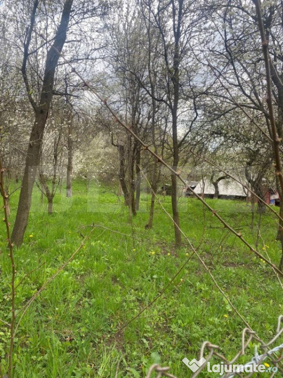 Teren 784 mp, Nistoresti, jud Prahova