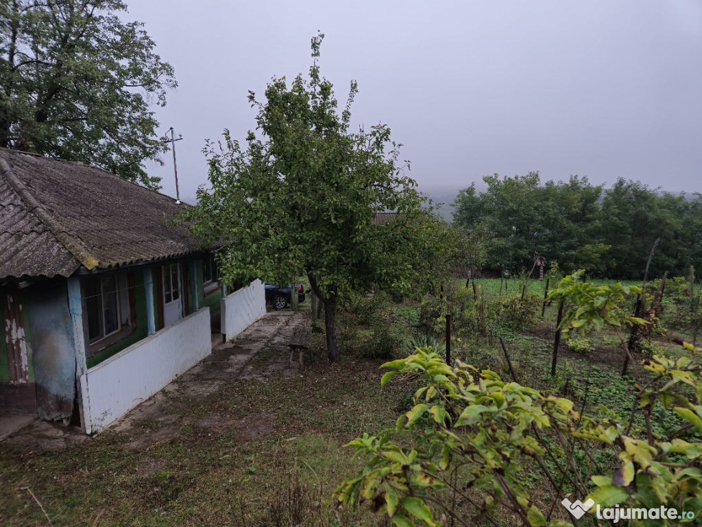 Casa batraneasca, teren 3836 mp, Botosani, Bogdanesti, Santa Mare