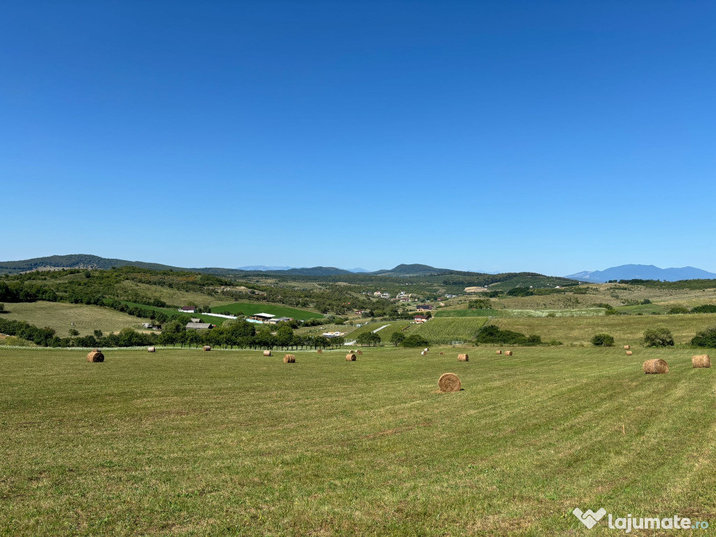 TEREN DE VANZARE, STRADA VALEA STANELOR,BISTRITA