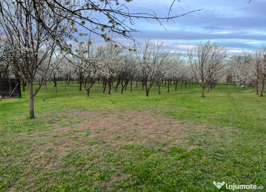 Teren Blejoi Prahova INTRAVILAN 3756 mp, deschidere 21 m + Casa