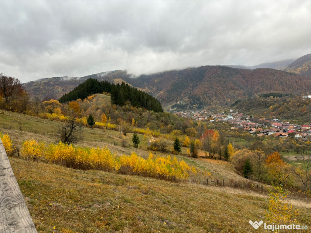 Cabanute în zona de munte